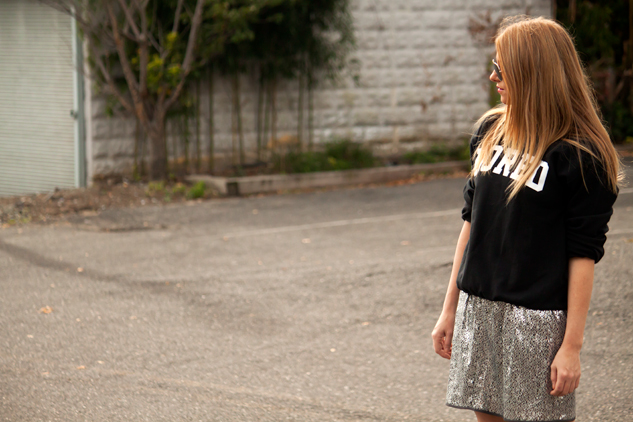 minishimmer_4