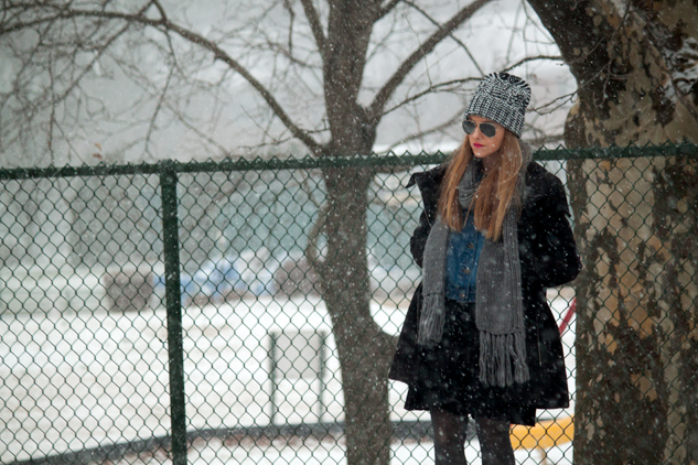 snowdenim_1