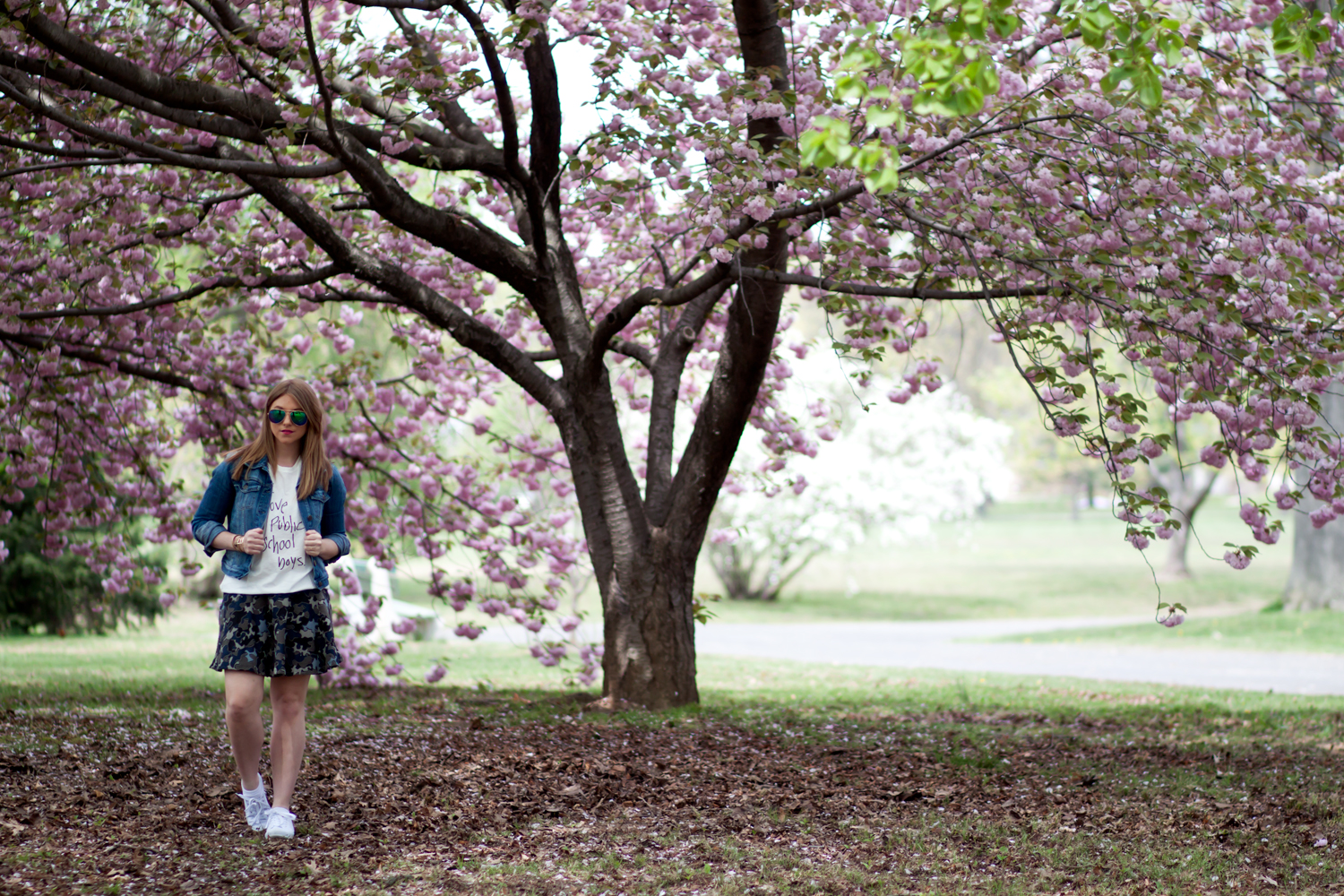 publicschool_2