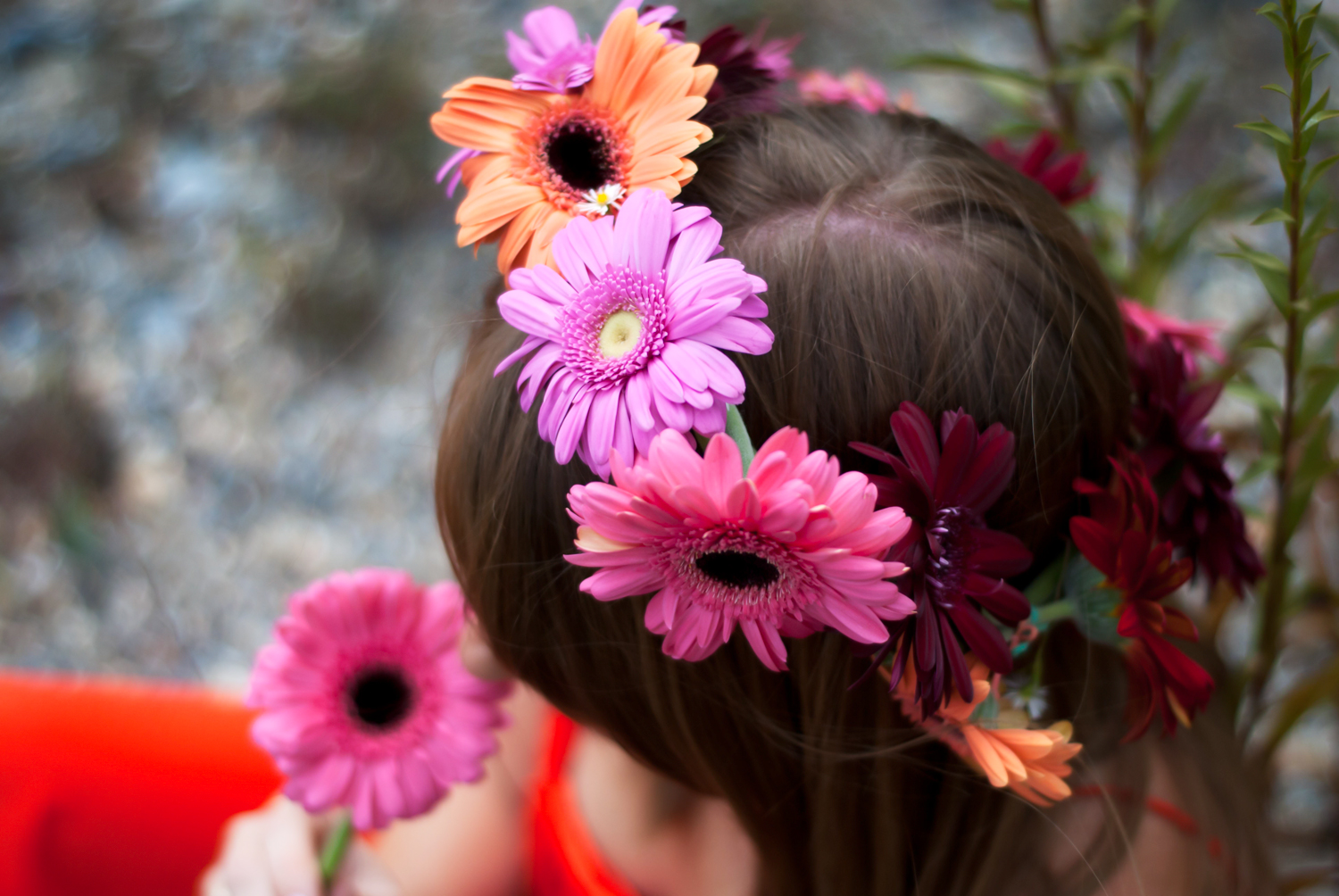 flowers_3
